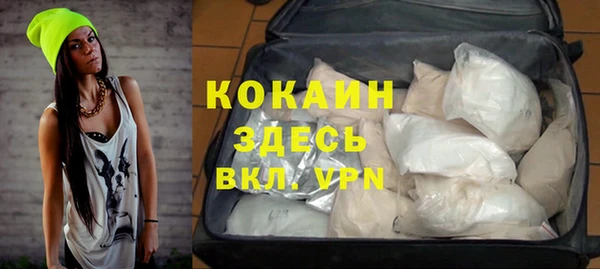 mdpv Вяземский