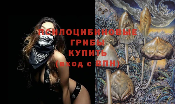 2c-b Вязники