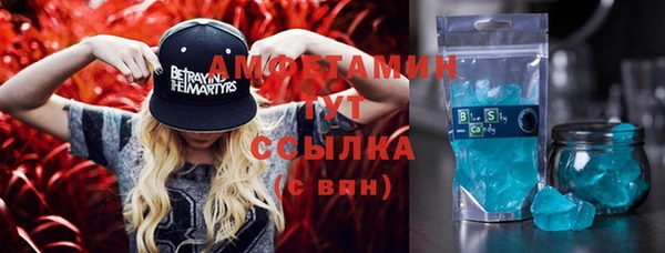 mdpv Вяземский