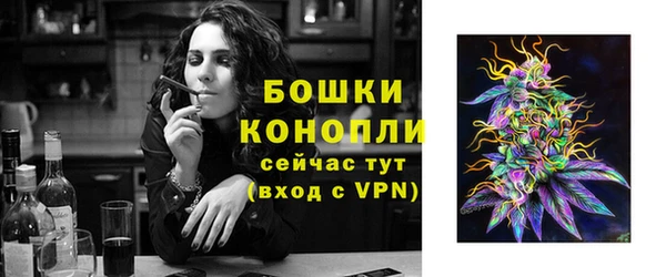 mdpv Вяземский